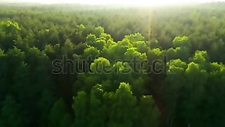Beauty of Nature 4