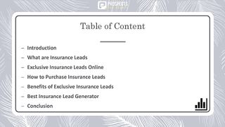 Internet Leads VS Exclusive leads