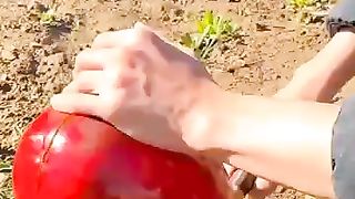 Laal aye sari gadi Laal aye