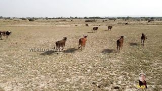 KIRTHAR NATIONAL PARK - KARCHAT _ KIRTHAR MOUNTAINS _ JAMSHORO - SINDH _