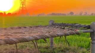Indian agriculture #farming #love