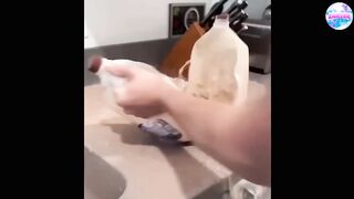 essaye de ne pas rire wow....