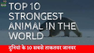 Top 10 Strongest animals in the world