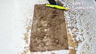 Easy Steps To RUG CLEANING Of Your Dreams |satisfactory ASMR‏
