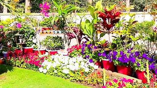 I love|| Pakistan