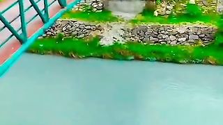 Beauty of kashmeer