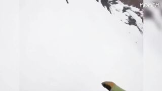 you laugh, you restart 3