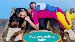 Dog is protecting my baby__Gurad dog__Rottweiler dog