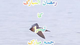 Jumma Mubarak 17