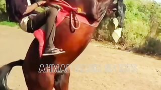 #best horses dance of 2023#ytshorts#youtubeshorts#ytshort#shorts vedio of youtube #shorts 2 2