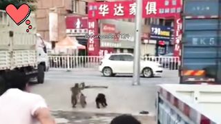Funny video 488