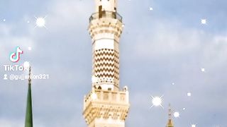 3cd4d658c7545a2eeb7ed764bbb0249c.