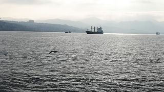 Sea Deniz