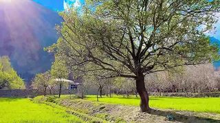 Beautiful view 12