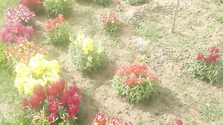 Nature beauty 4