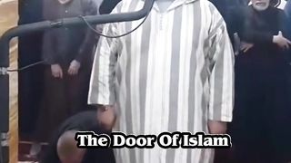 Cat During the prayer| The Door Of Islam
