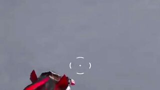 Intense Fight Forever