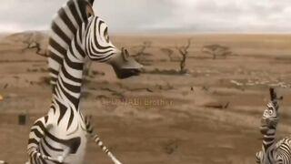 new video 2023 katon