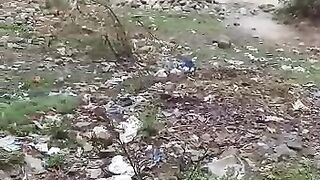 rain in bannu