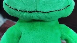 #animals 3