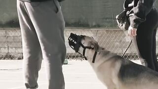 He Was Really Trying To Bite Me