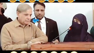 Funny video 230 # latest best funny 2023