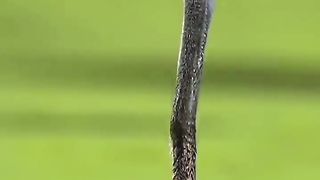 Best_respect_????awesome_skills_and_talents