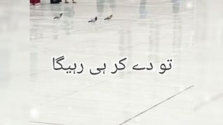 Yaqeen....♥️