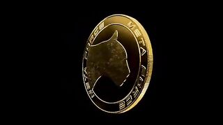 META FORCE COIN COMPLATE DETAILS