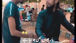 Funny 257