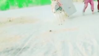 واہ جی واہ کیا بات ہے 2