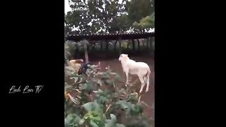 Funny TikTok 5