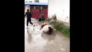 Funny TikTok compilation 5