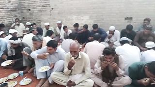 Funny 258