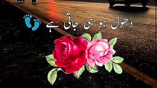 Video 59