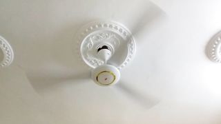 Funny fan noises