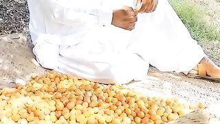 Bari ke Pechay ????????????