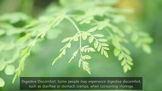 Moringa side effects