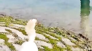Natural beauty of Switzerland 7