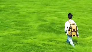 Walking through Beautiful Green fields