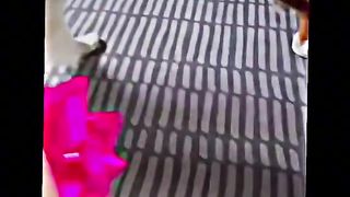 Cute dogs | dogs | TikTok