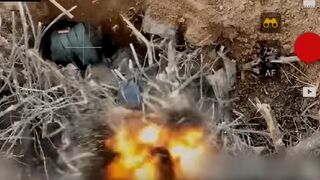 Ukraine border guards blow up Russian forces in Luhansk with weaponized drone