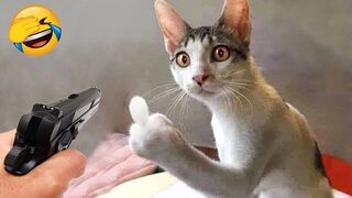 Funny animals videos 2023.Funniest cats and dogs videos