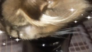 Попью кофейку для бодрости