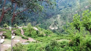 Emily and Daniel love story