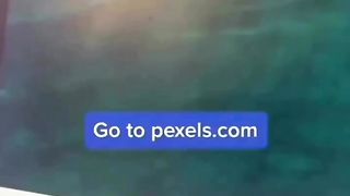 How to make money online using these websites