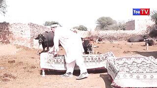 Video maza numberdar video mazahiya