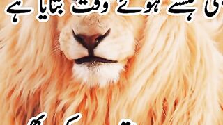 Poetry 153