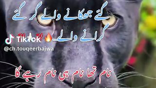 Poetry 162
