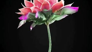 Amazing art 3